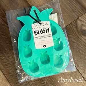 Blush Pineapple Ice Mold #56